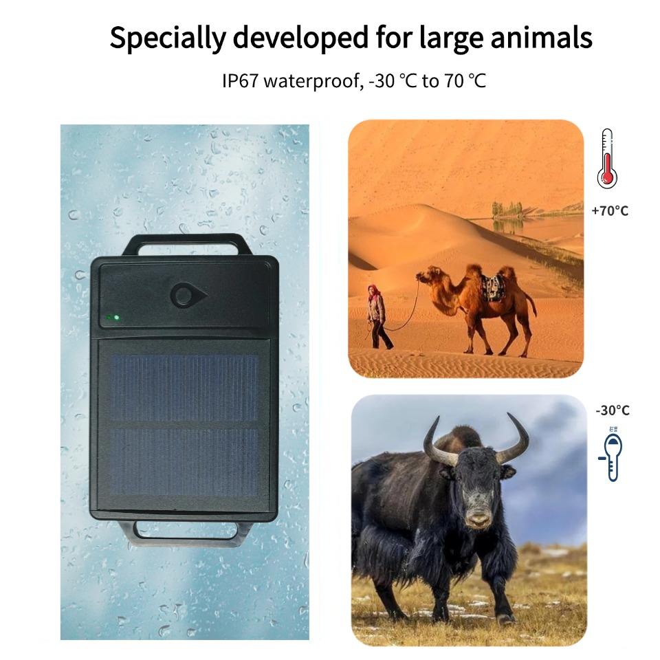 Solar-GPS-Tracker, solarbetriebener GPS-Tracker für die Beweidung von Rindern und Schafen, wasserdichtes Solar-GPS-Ortungshalsband für den Außenbereich