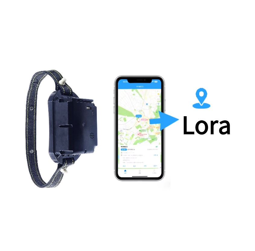Collier GPS LoRa pour vaches, collier de clôture virtuelle pour moutons, clôture virtuelle GPS pour bétail, système intelligent de pâturage pour bétail