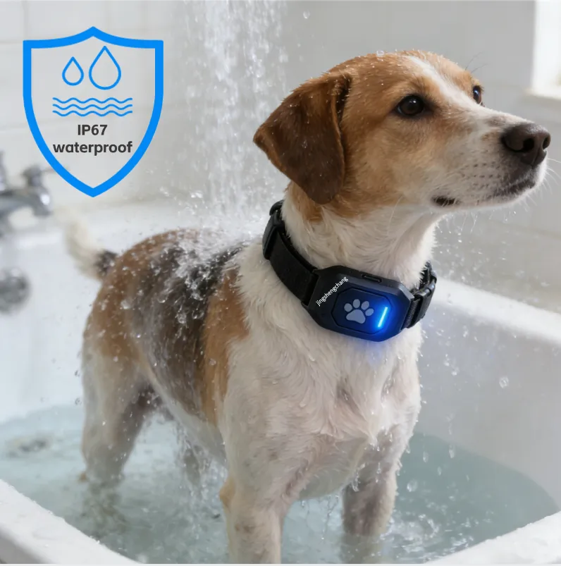 4G GPS-Tracker für Haustiere, Wasserdichtes Lokalisierungshalsband für Hunde und Katzen, Ultra-Leichtes GPS mit Extrem-Langer Akkulaufzeit, Echtzeit-Tracking Anti-Verlust