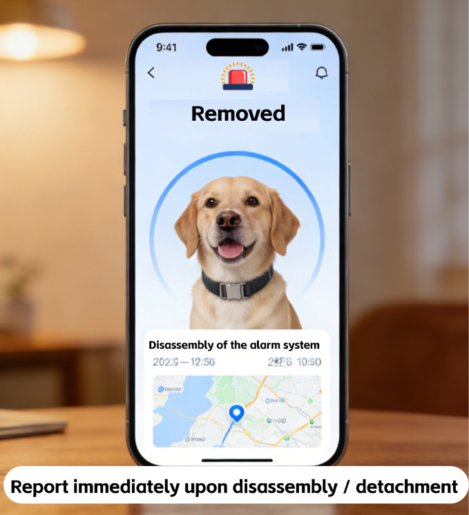 Rastreador GPS para Mascotas 4G, Collar Localizador Impermeable para Perros y Gatos, GPS Ultra Ligero con Batería de Larga Duración, Antipérdida en Tiempo Real
