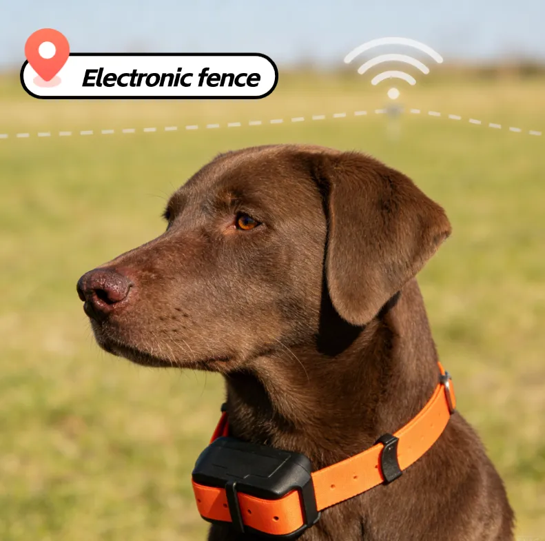 GPS-Halsband für Hunde, intelligentes Haustierhalsband, Anti-Verlust-Haustierhalsband für den Außenbereich, GPS-Haustierhalsband mit Geofencing-Funktion
