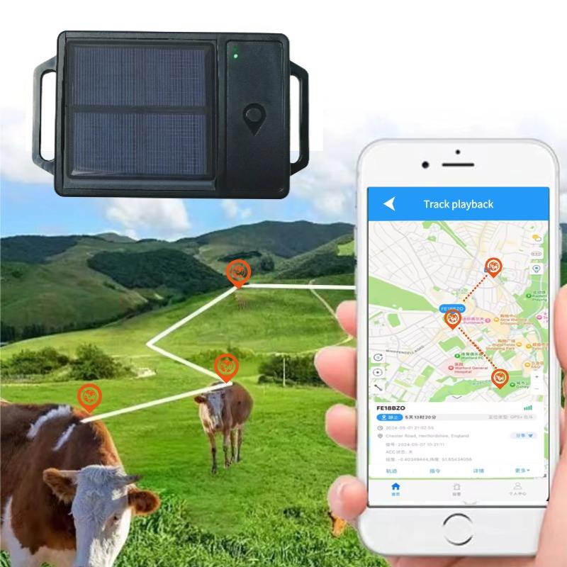 Solar-GPS-Tracker, solarbetriebener GPS-Tracker für die Beweidung von Rindern und Schafen, wasserdichtes Solar-GPS-Ortungshalsband für den Außenbereich